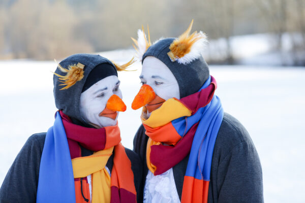 pinguine im schnee new york